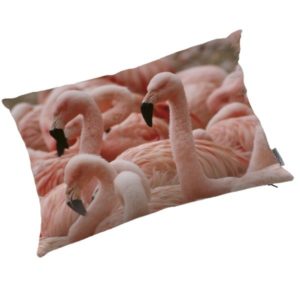 FLAMANT ROSE – Coussin 40 x 50 cm – Imprimé Oiseaux Exotique
