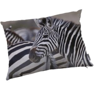 ZEBRA - Coussin 40 x 50 cm - Imprimé Ethnique Zèbre