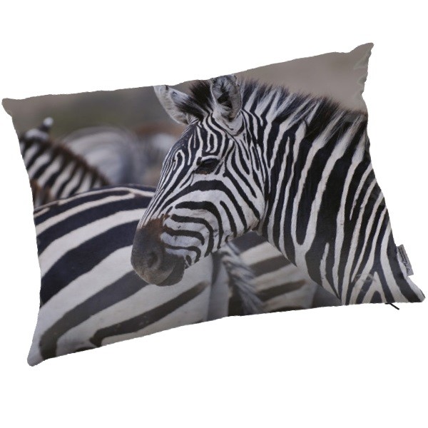 Zebra - Housse pour coussin de canapé - Siège M : Largeur 50-65 CM