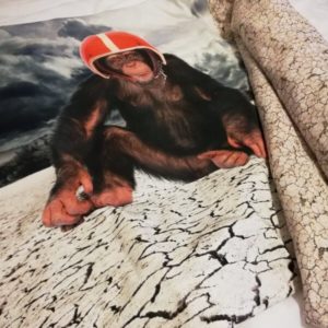 GARY – Edredon Enfant – Boutis Motif Singe – Jersey Coton