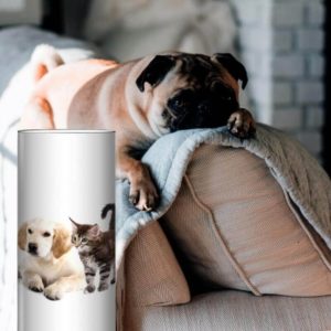 RUBY – Lampe de Bureau Chien Chat – Décor Ami Animal